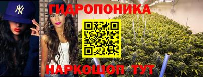 PSILOCYBIN Кунгур