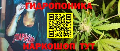 PSILOCYBIN Кунгур
