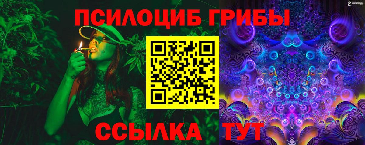 Галлюциногенные грибы мицелий  Вход с VPN  Касимов 
